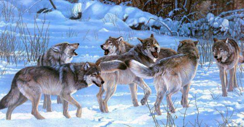 華為管理文化的兩個(gè)關(guān)鍵詞：簡(jiǎn)單、狼狽為奸