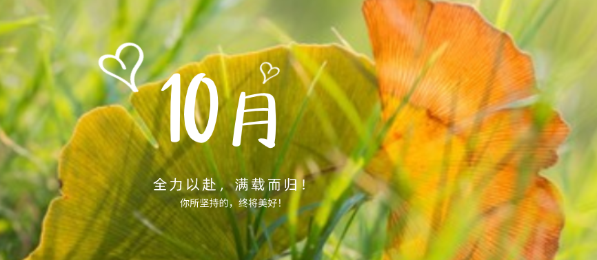 蓄力下半場|“十不我待，吾力全開”！網(wǎng)站設(shè)計、網(wǎng)站優(yōu)化都快做起來！